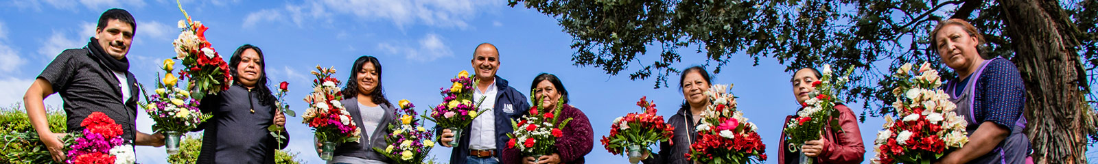 Gestión Social