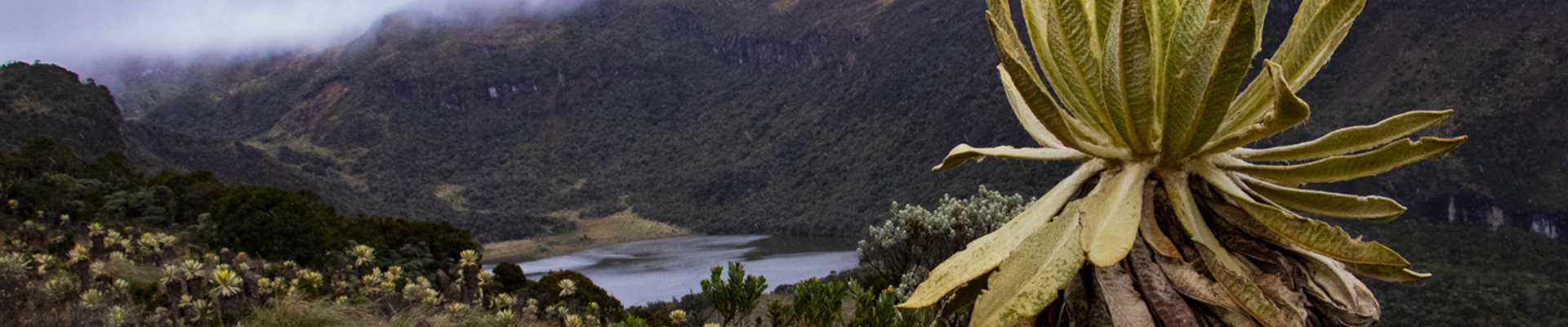 Laguna de Telpis